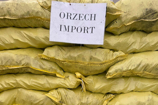 orzech-import.jpg
