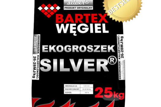 silver-14-5.jpg